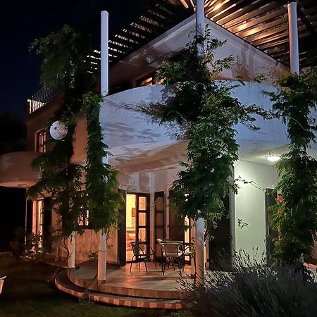 Green Villa In Olives Bar Zewnętrze zdjęcie
