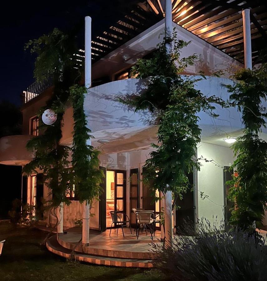 Green Villa In Olives Bar Zewnętrze zdjęcie