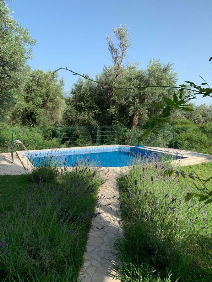Green Villa In Olives Bar Zewnętrze zdjęcie